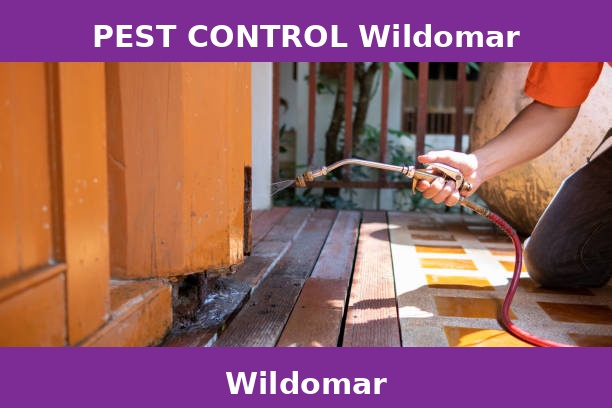 PEST CONTROL Wildomar